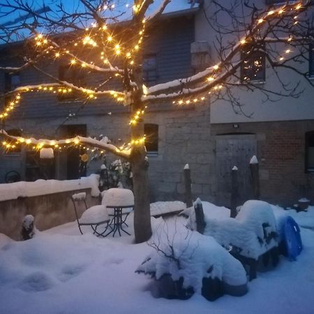 Ferienhof"Waldesel Rippersroda" Екстер'єр фото