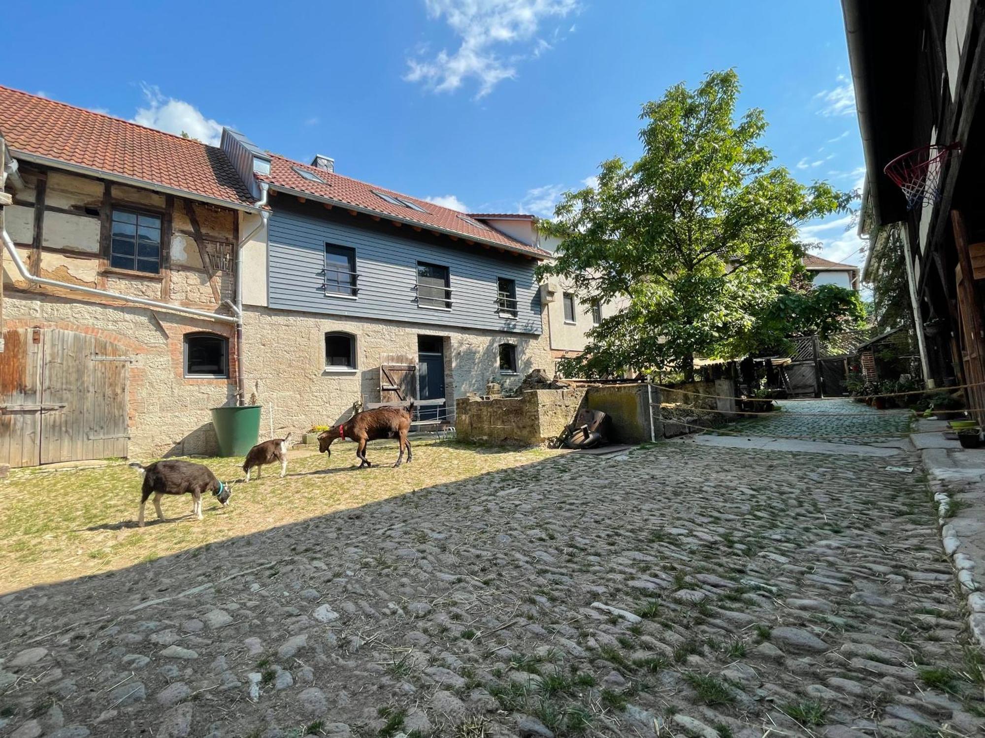Ferienhof"Waldesel Rippersroda" Екстер'єр фото