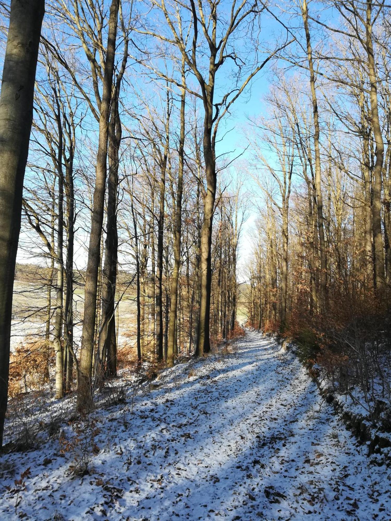 Ferienhof"Waldesel Rippersroda" Екстер'єр фото