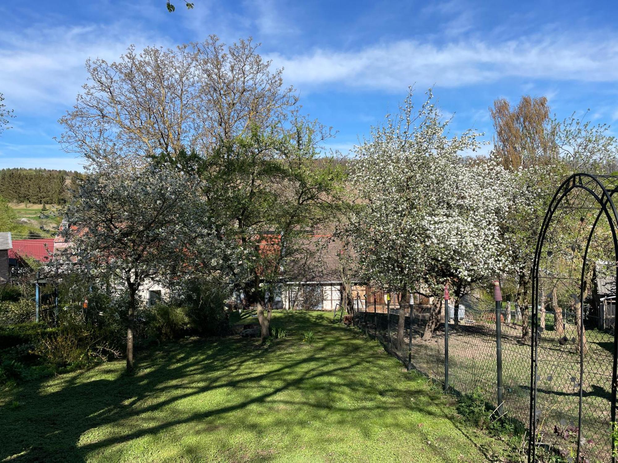 Ferienhof"Waldesel Rippersroda" Екстер'єр фото