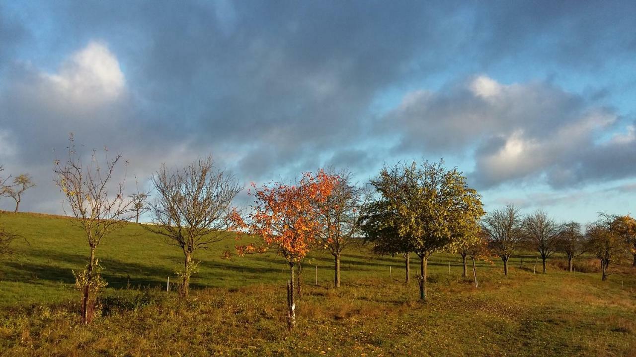 Ferienhof"Waldesel Rippersroda" Екстер'єр фото
